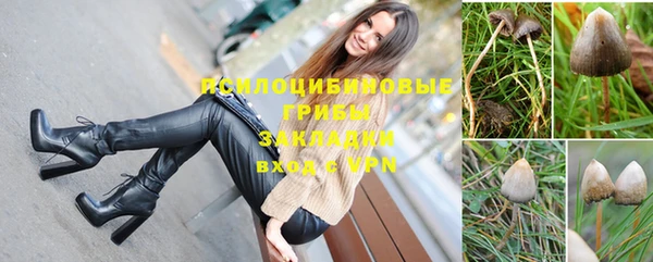 ECSTASY Белая Холуница