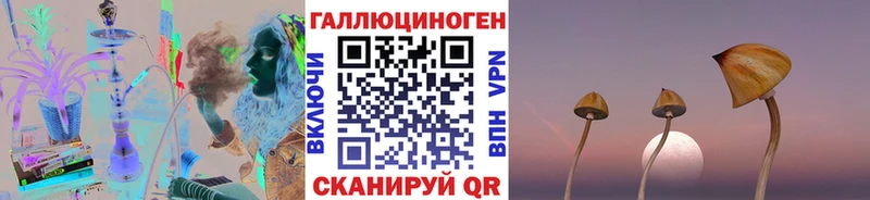 Купить закладки  Безенчук  Псилоцибиновые грибы мухоморы 